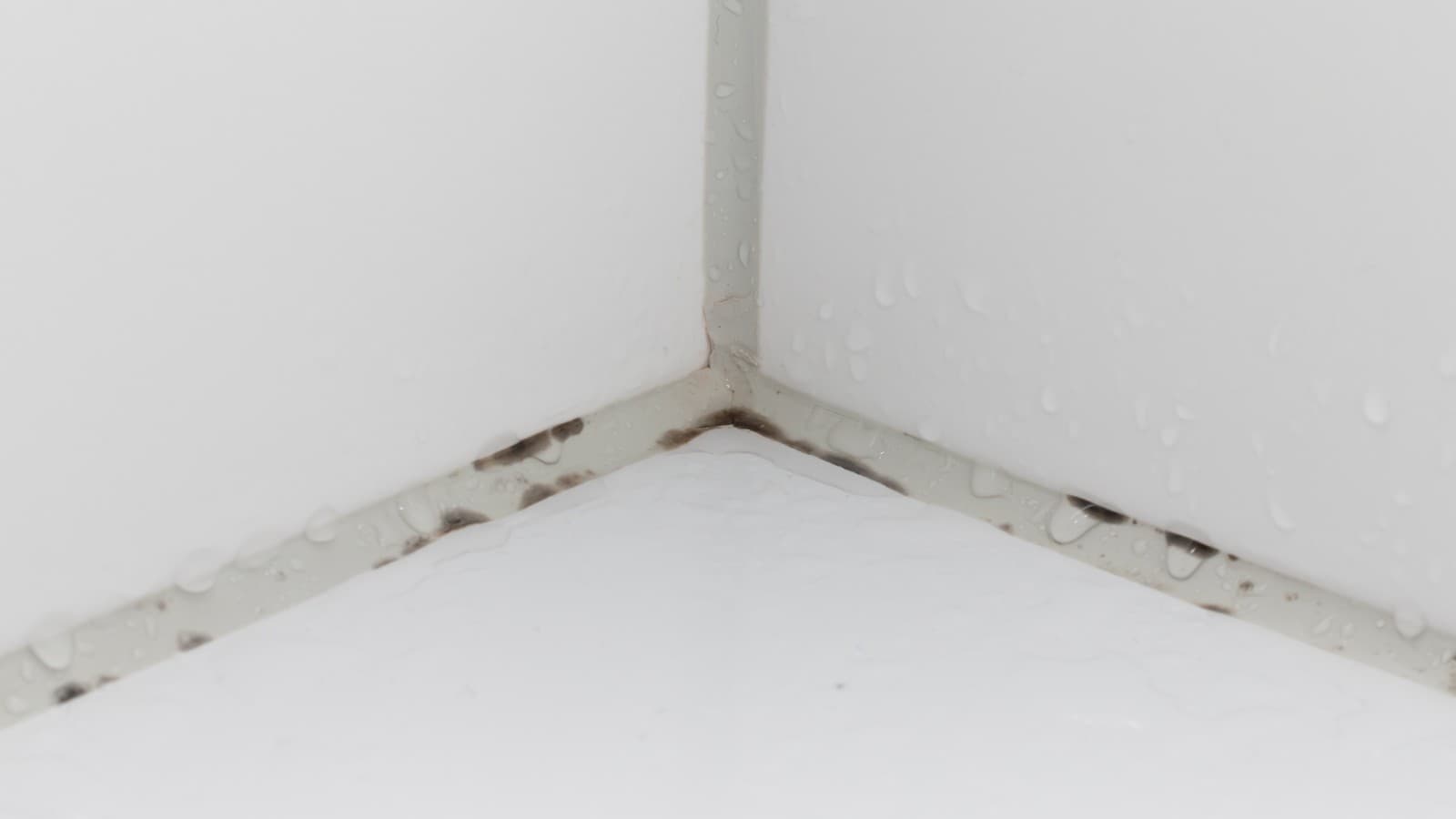 Mould in bathroom grout lines Mould in bathroom grout lines